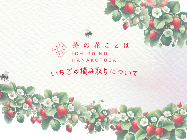 いちご狩り（越後姫摘み取り体験）のご案内-｜【越後姫-桃薫】いちご専門通販サイト｜苺の花ことば【公式】-新潟県上越市のいちご専門農園｜ギフト苺の通販-06-30-2026_10_59_PM