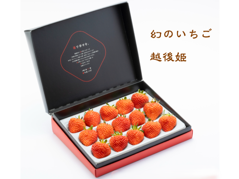 ギフトいちご大粒越後姫S350g9〜18粒【送料無料】｜【越後姫-桃薫】いちご専門通販サイト｜苺の花ことば【公式】-新潟県上越市のいちご専門農園｜ギフト苺の通販-06-30-2026_11_02_PM